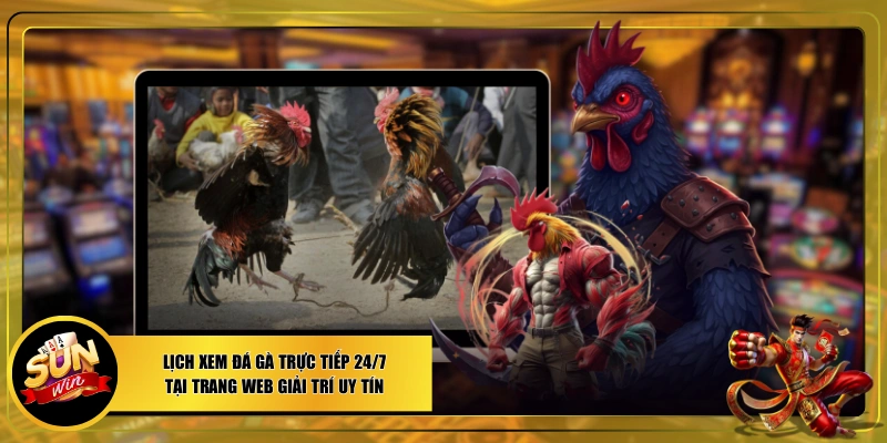 Xem đá gà trực tiếp