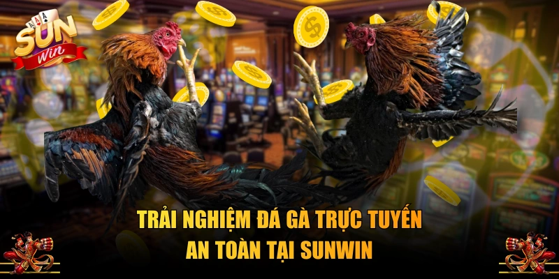 Trải nghiệm đá gà trực tuyến an toàn tại SUNWIN