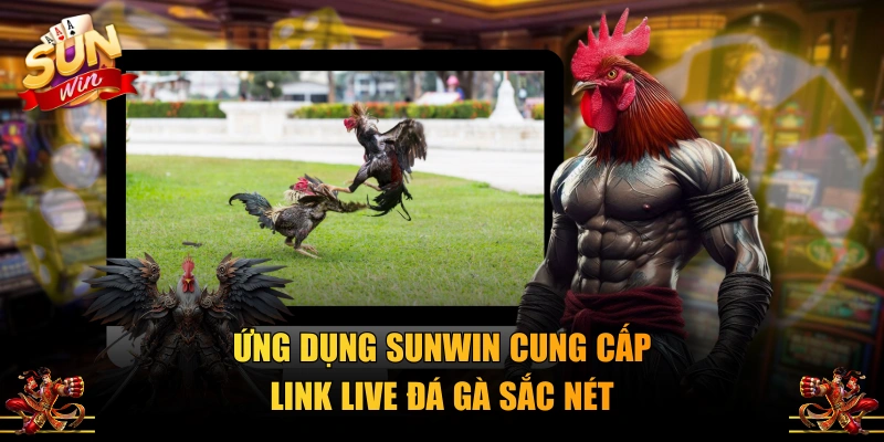 Ứng dụng SUNWIN cung cấp link live đá gà sắc nét